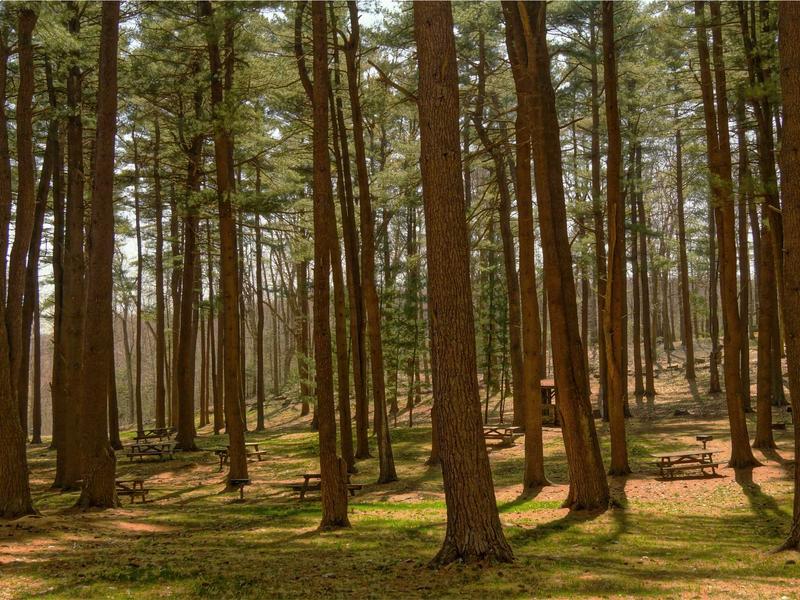 sudoku rating system screenshot 2